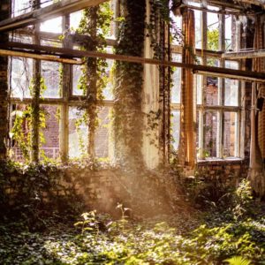 Limpieza Espacios.NISHTHA