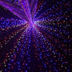 Limpieza energética Entidades.NISHTHA